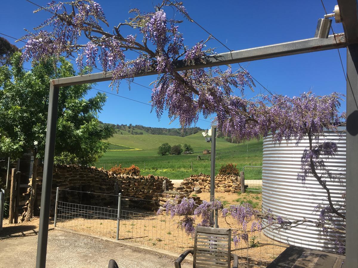 乳牛场小屋住宿加早餐旅馆 林道 外观 照片